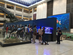 國家一級博物館指定龍威定制展示魚缸