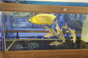 私人訂制 上門安裝 服務