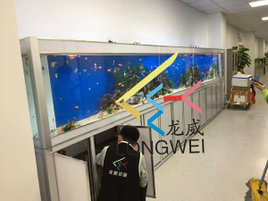 公司大型魚缸定制項目