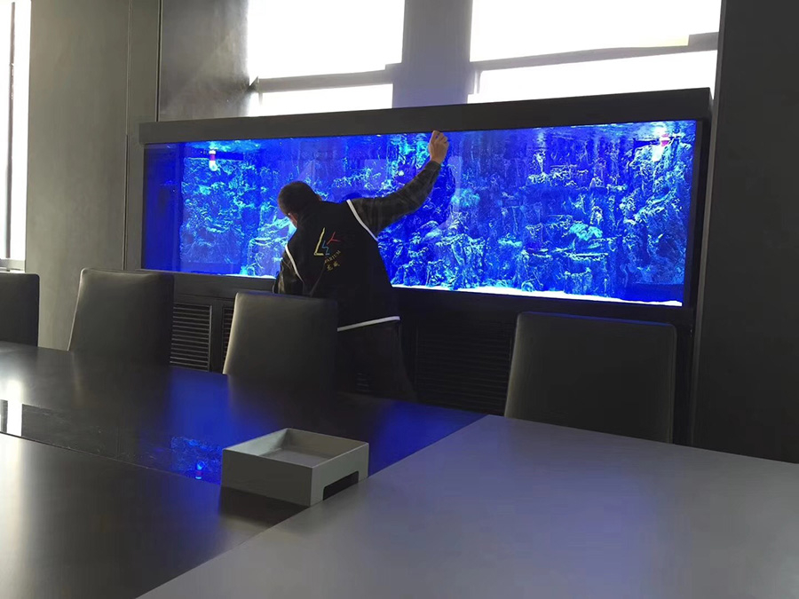 會議室海水缸定制清洗