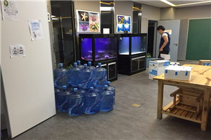 道爾頓公學(xué) 海洋科普 走進學(xué)校