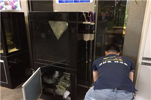 道爾頓公學(xué) 海洋科普 走進學(xué)校