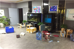 道爾頓公學(xué) 海洋科普 走進學(xué)校