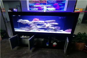 道爾頓公學(xué) 海洋科普 走進學(xué)校