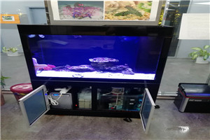 道爾頓公學(xué) 海洋科普 走進學(xué)校