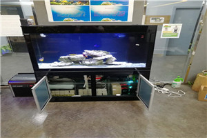 道爾頓公學(xué) 海洋科普 走進學(xué)校