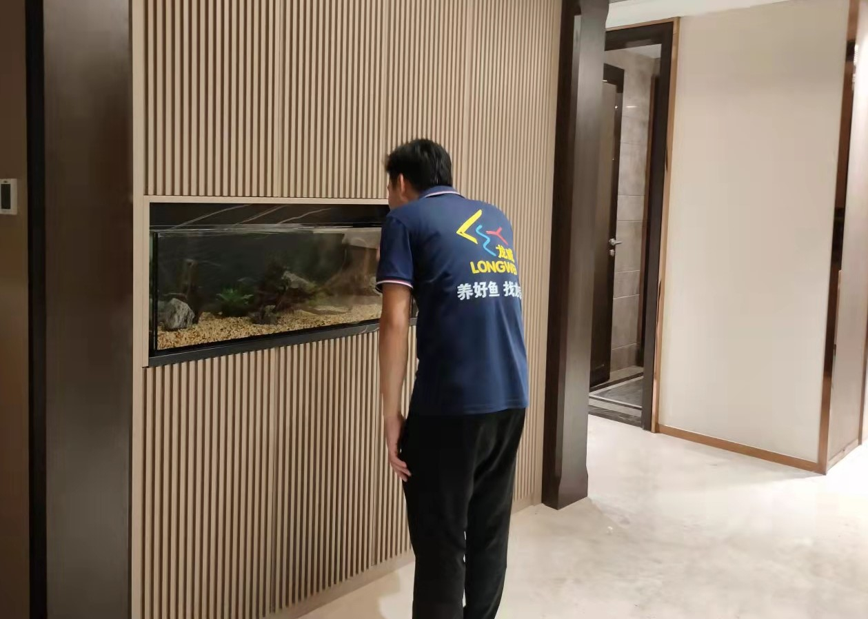 餐廳淡水草缸定制案例——龍威水族