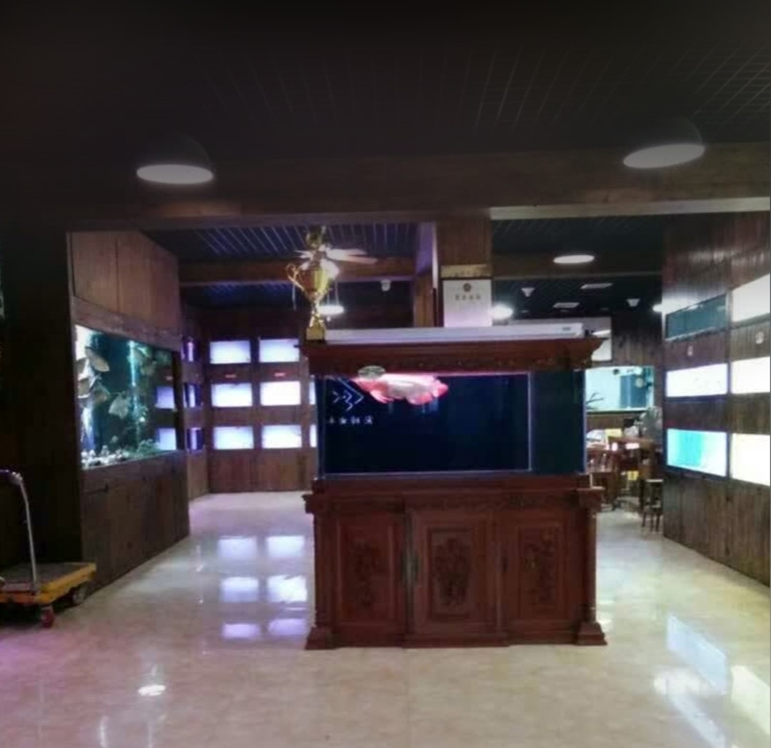 家里客廳魚(yú)缸定制案例——龍威水族