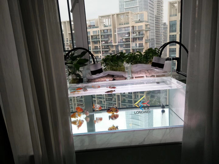 陽臺定制小型金魚缸——龍威水族
