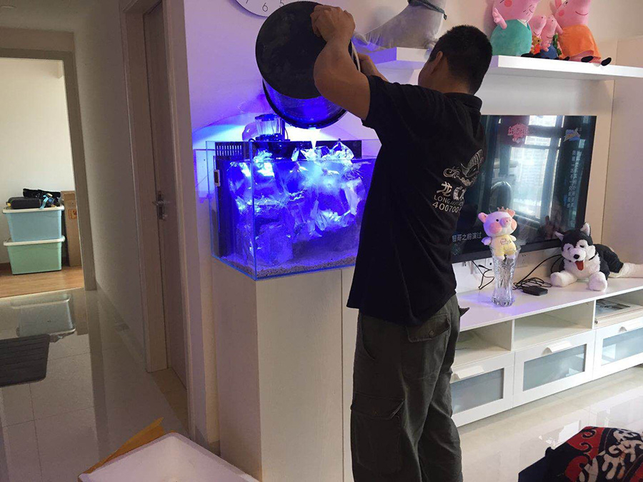 海水魚缸定制案例 ——龍威水族