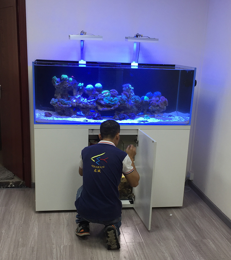 海水魚缸定制案例 ——龍威水族