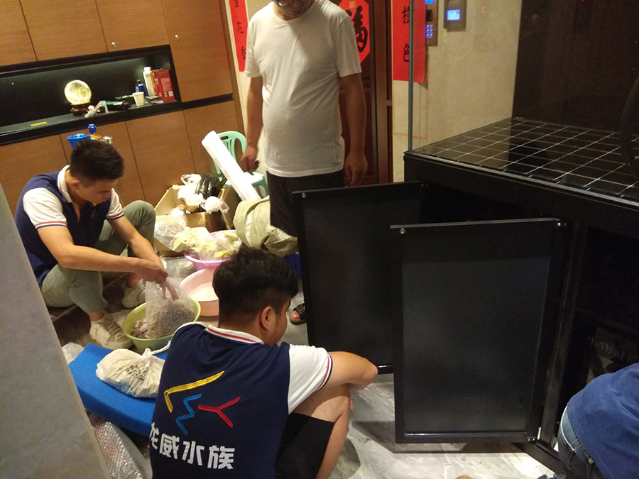 家庭定制魚缸送貨上門安裝——龍威水族