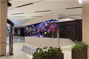 大型商業  景觀設計