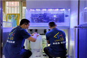 大型海洋魚缸 觀賞魚缸 海洋景觀