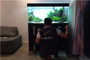 自然景觀  回歸自然 水生植物景觀 水草景觀