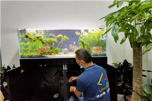 自然景觀  回歸自然 水生植物景觀 水草景觀