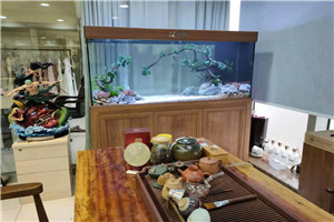 自然景觀  回歸自然 水生植物景觀 水草景觀