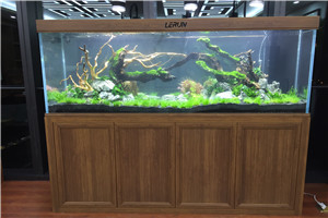 自然景觀  回歸自然 水生植物景觀 水草景觀