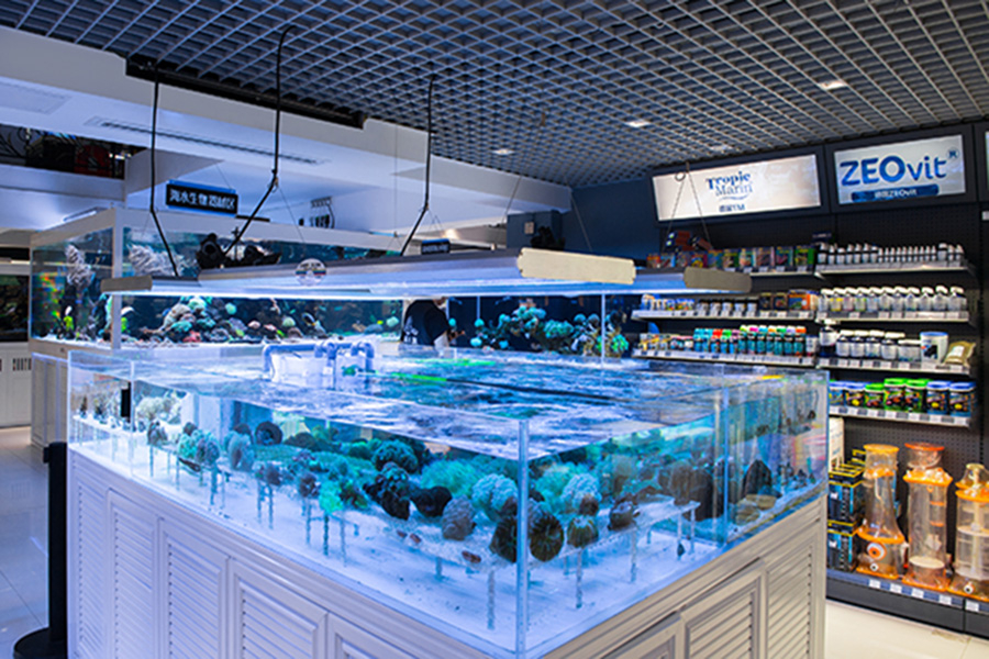 大型魚缸定制案例