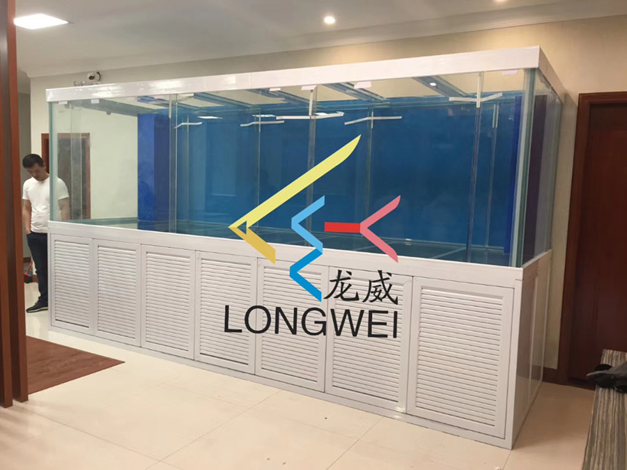 超白大型魚缸定制項目