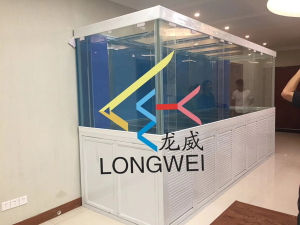 超白大型魚缸定制項目