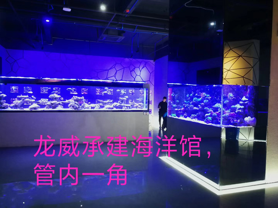 海洋館建設 竣工 營業 廣東汕頭蓮花峰海洋文化館