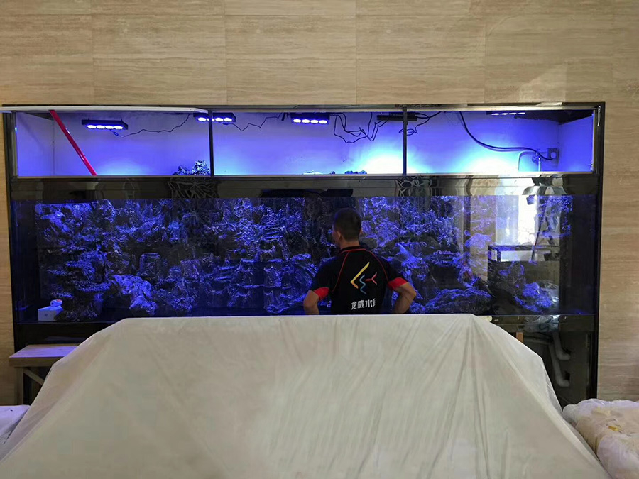 大型魚(yú)缸如何快速清洗龍威水族教你