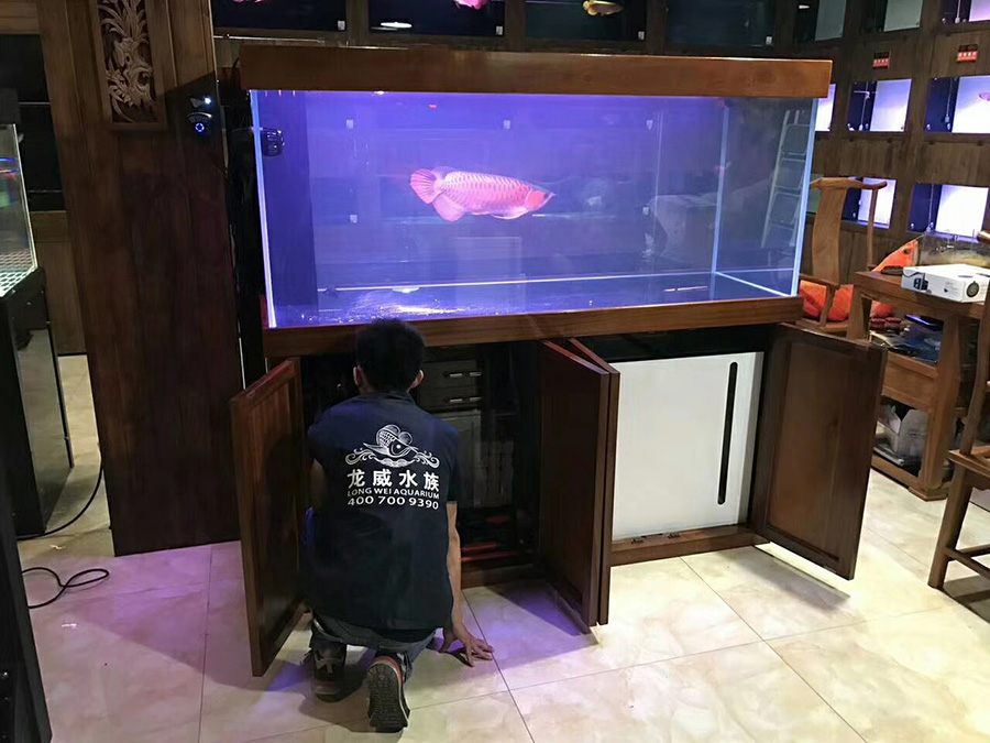 深圳福田區(qū)實(shí)木定制魚(yú)缸多少錢(qián)