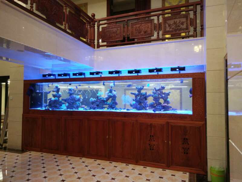 深圳羅湖區(qū)大型魚缸批發(fā)價格介紹